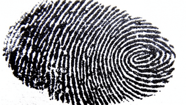 fingerprint